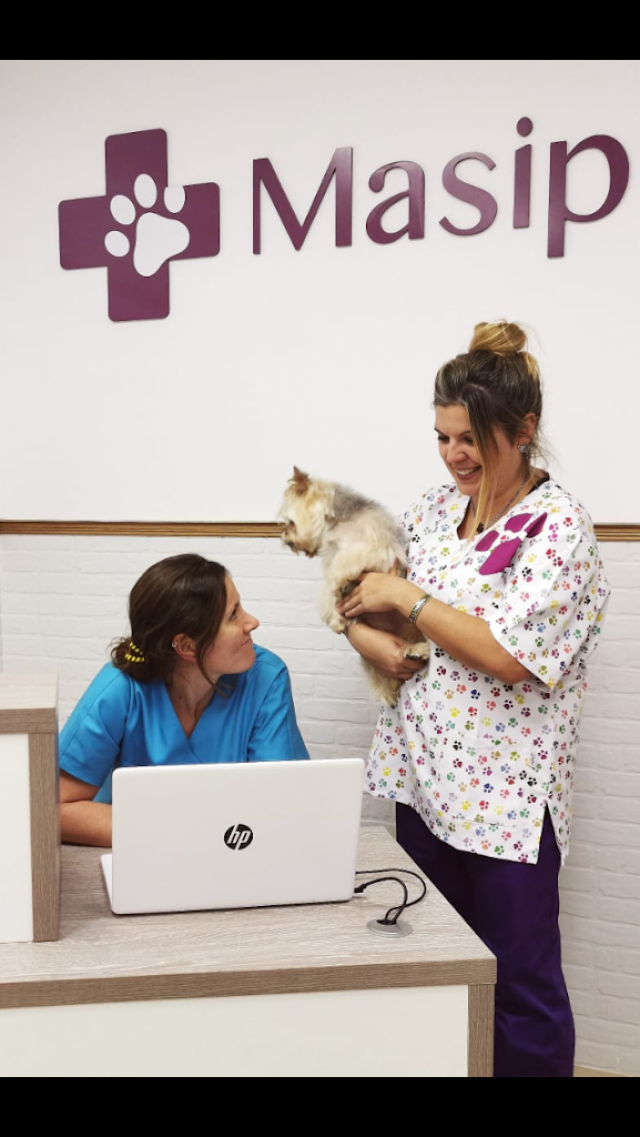 Centro Veterinario Masip — Del propietario