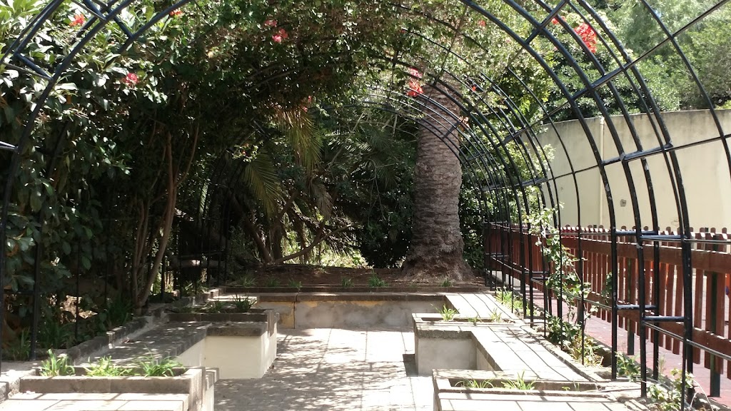 Parque Municipal de Arucas