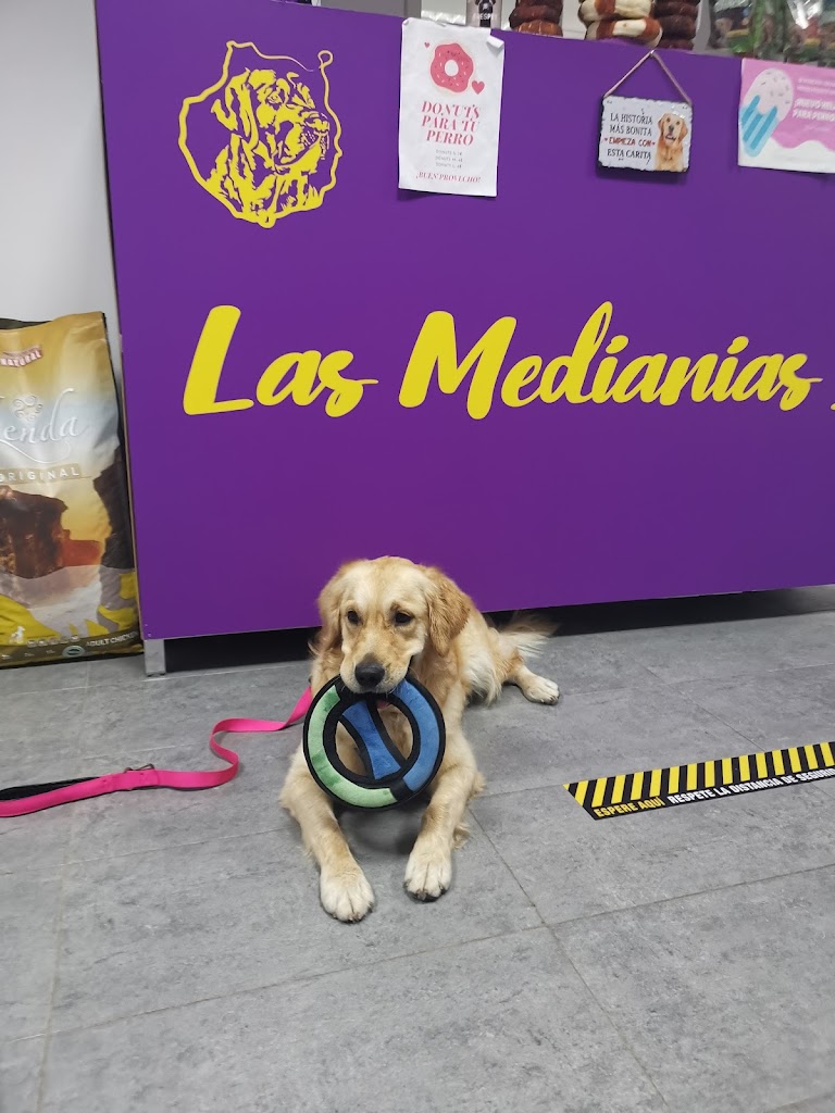 Clinica Veterinaria Las Medianias II — Perro