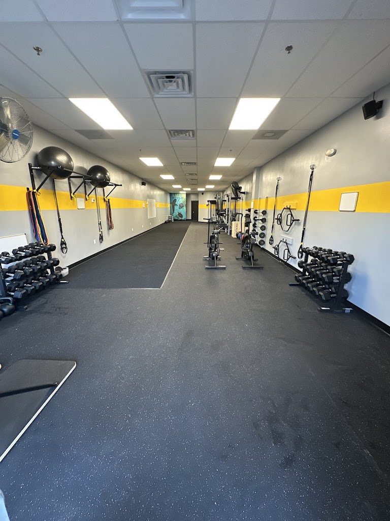  AMP'D Fitness - Ocean