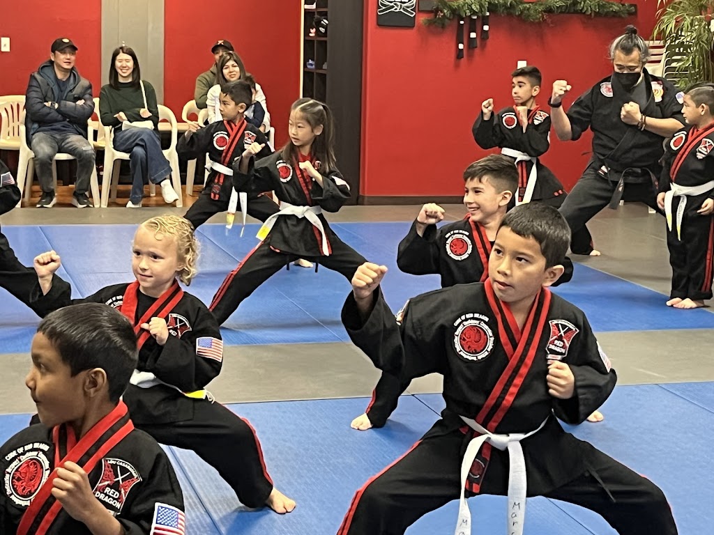  Red Dragon Karate
