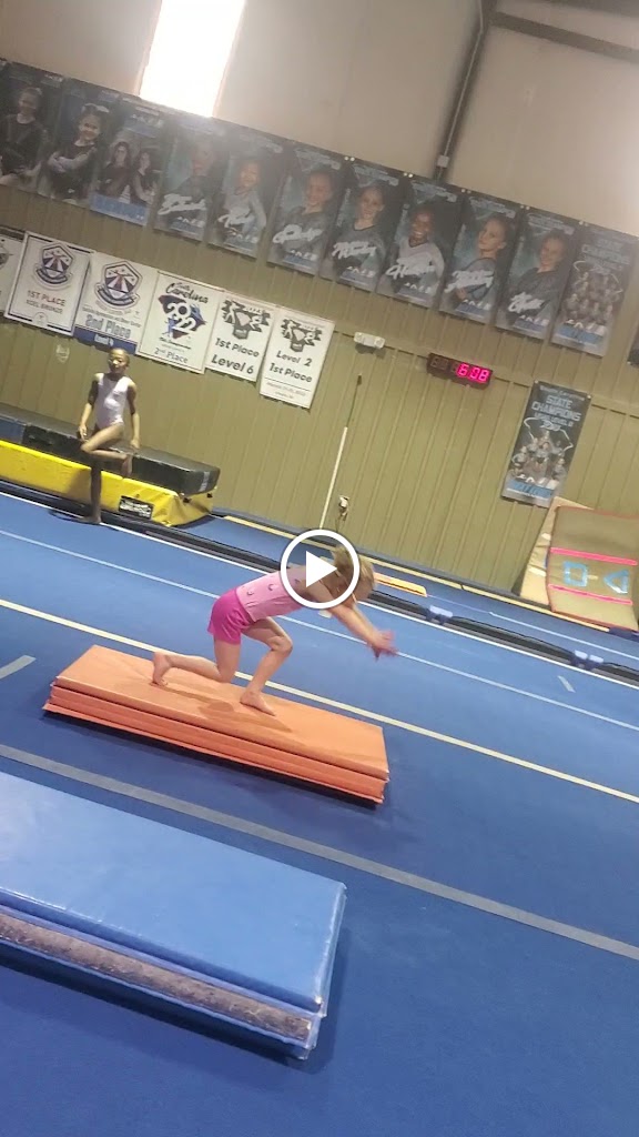  Next Level Gymnastics Academy