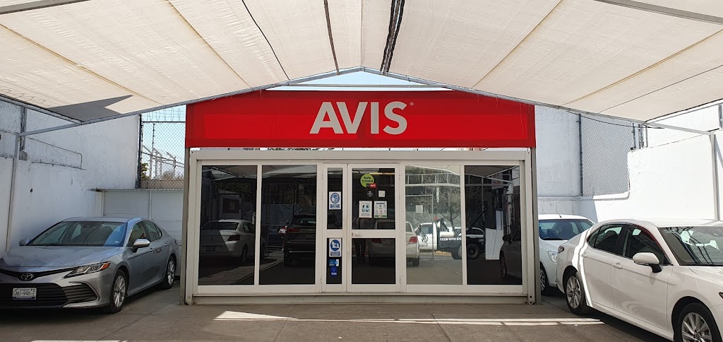 Avis