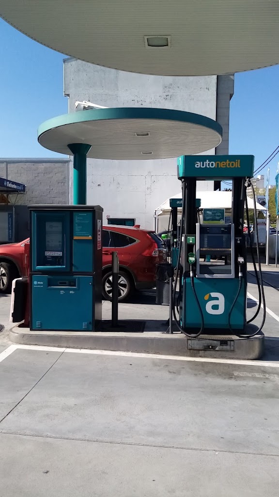 Autonetoil — Del propietario