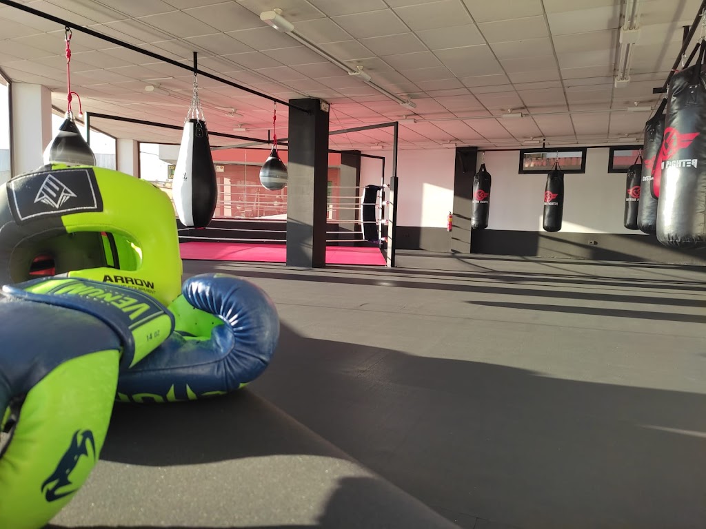 Escola de Boxeo Arkham