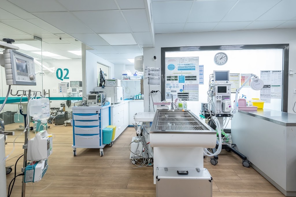 Hospital Veterinario VetVida especialitats i urgencies 24hores