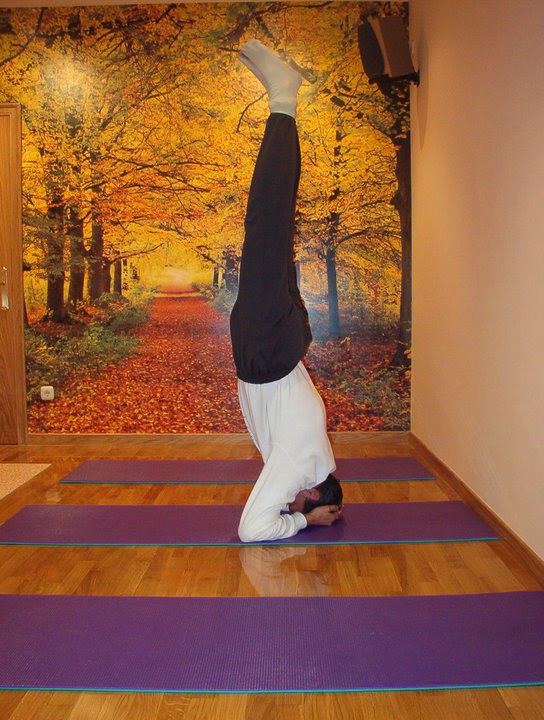 Yoga Centro Ser — Yoga