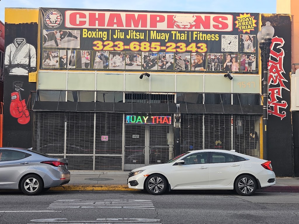  Champions ELA Fight Academy