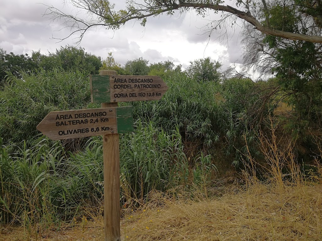 Sendero del Rio Pudio