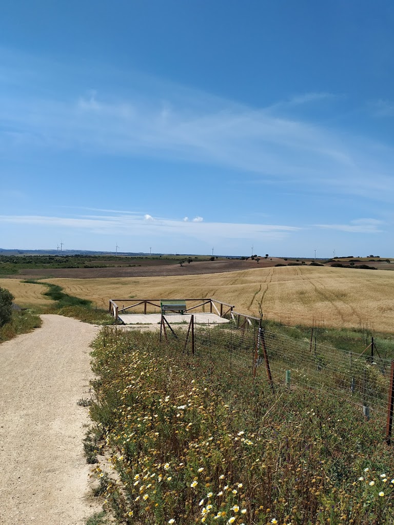Puerta Verde de chiclana