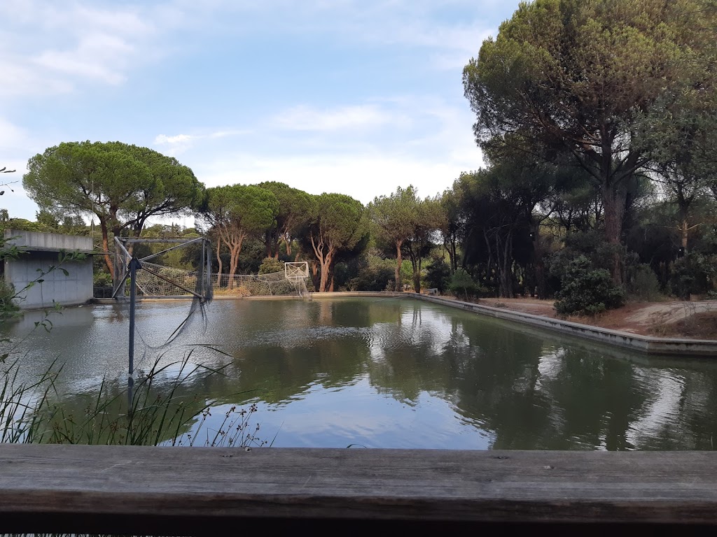 Dehesa de Navalcarbon