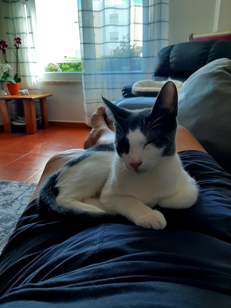 Foto da avaliação