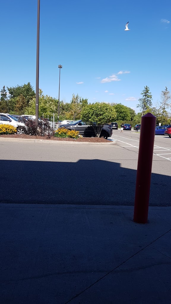 Costco Food Court