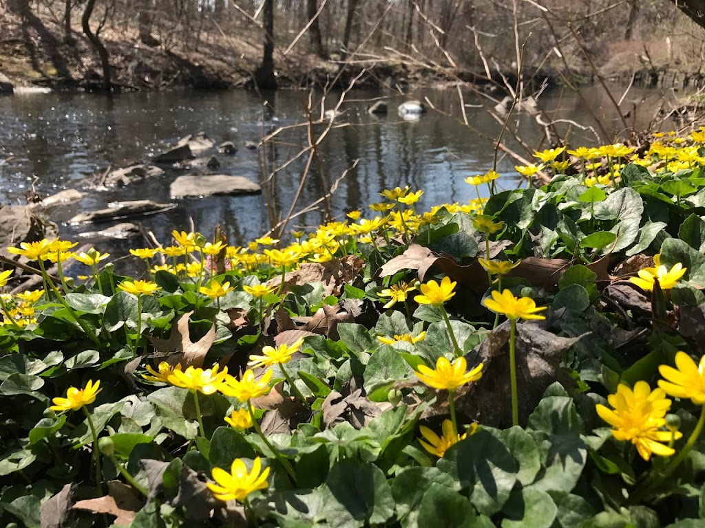 Bronx River Digital Media