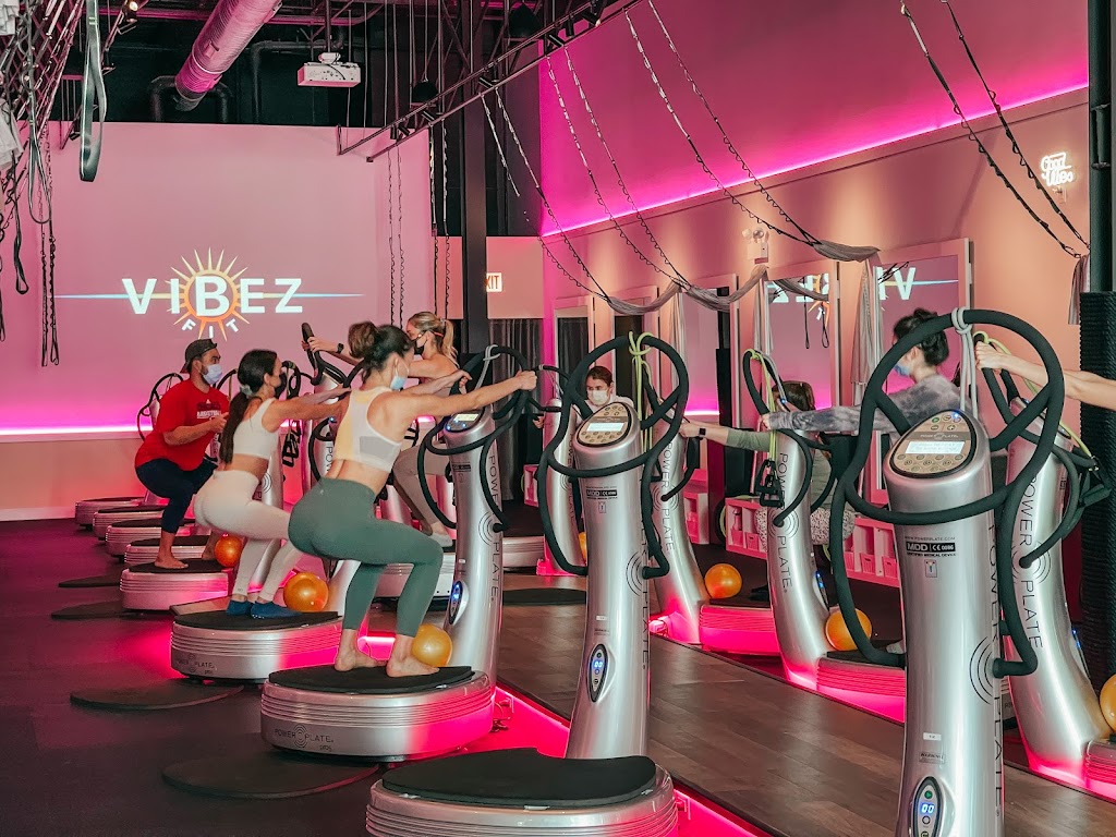  Vibez Fit