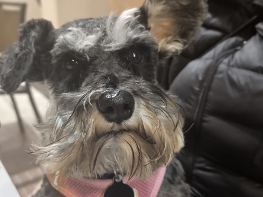 Aoiz clinica Veterinaria