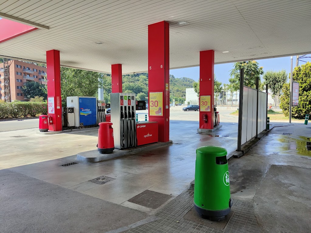 Estacion de servicio Cepsa BASEVA — Estacion de servicio