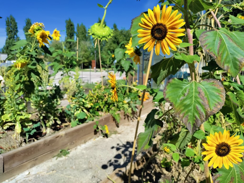 Aula Ambiental de Torrelodones