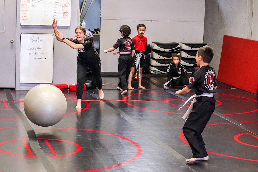  Bad Ace Martial Arts