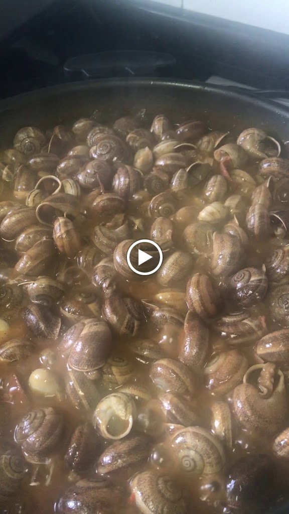 Bar - Restaurant Aloa — Videos