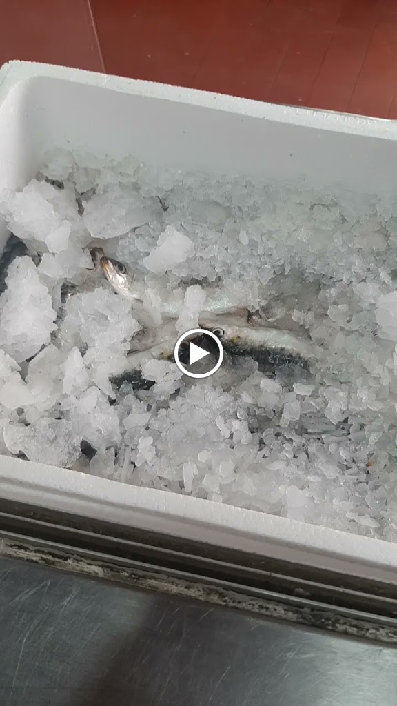 Restaurante Clube Atletico do Montijo — Videos