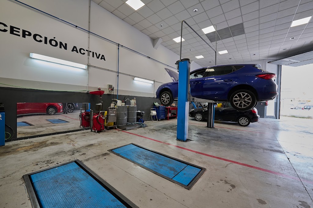 Servicio autorizado Seat en Torrevieja — Del propietario