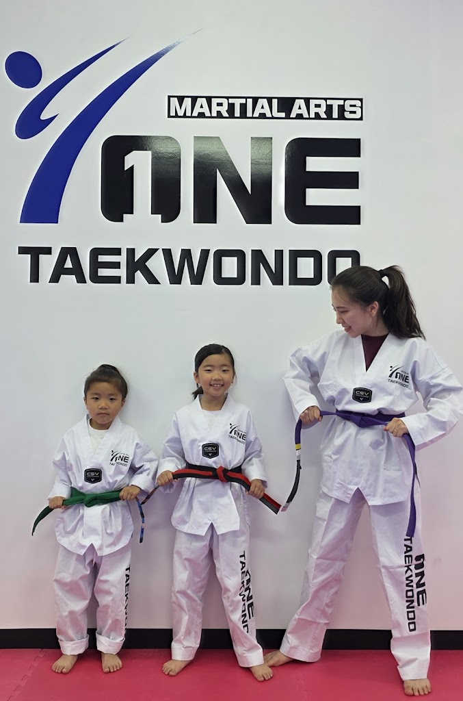  ONE Taekwondo Martial Arts (Pompton Lakes)