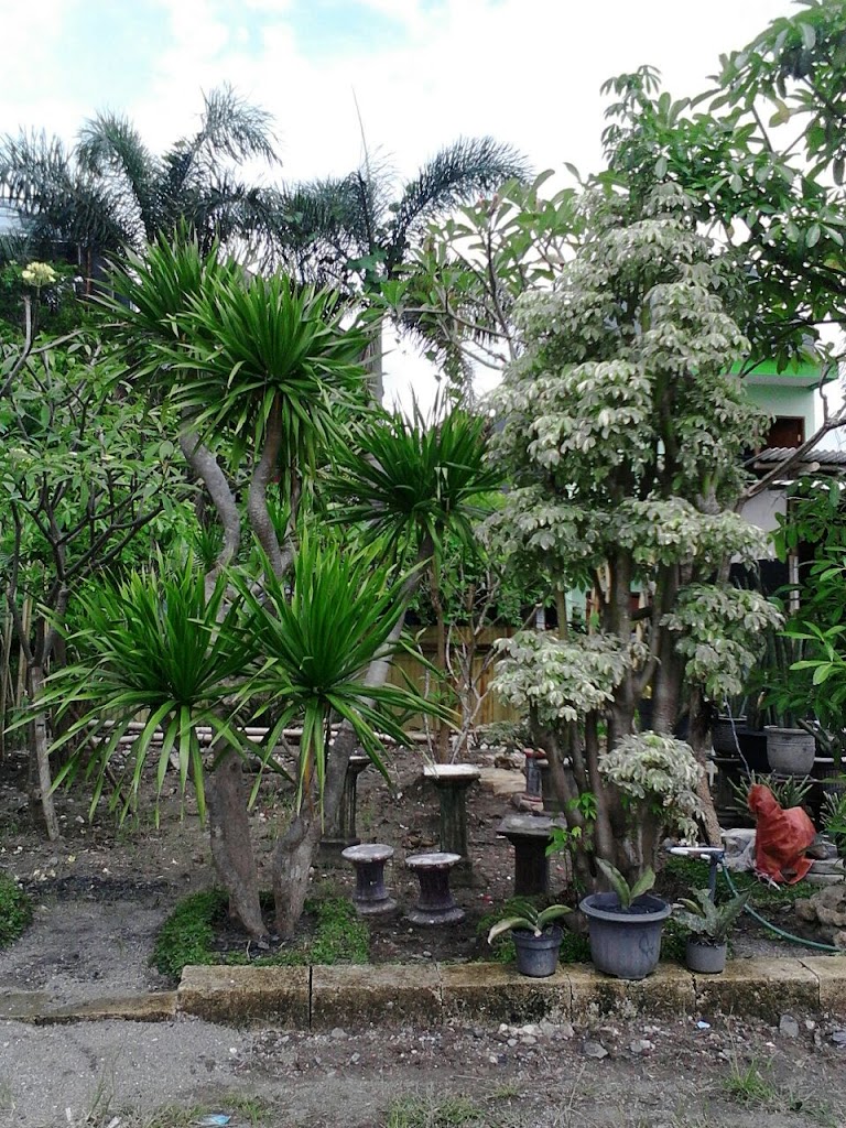 Basecamp TI Pondok Bambu
