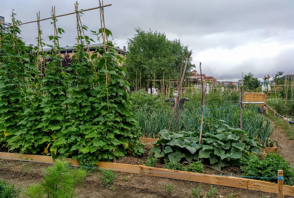 LakuaKoLore - Huertos Ecologicos Colectivos en Lakua