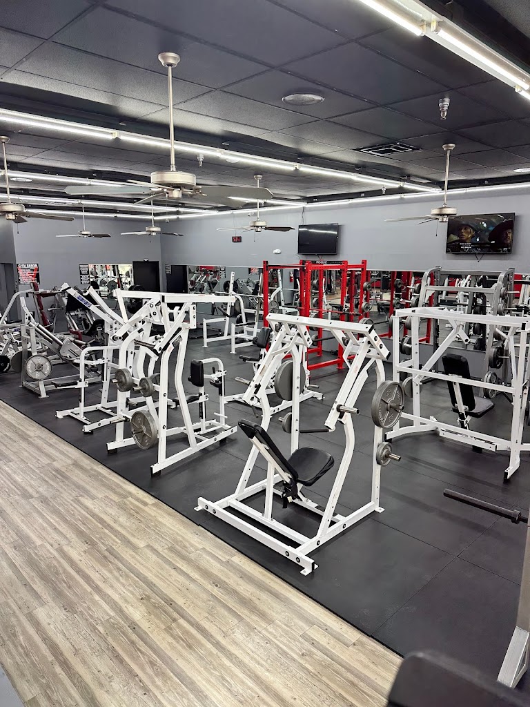  Willmore Total Fitness - G2