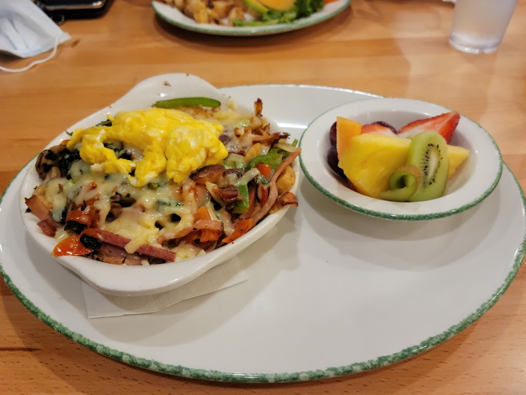 Omelette
