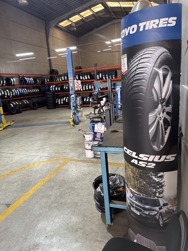 NEUMATICOS BARZANAS — Interior