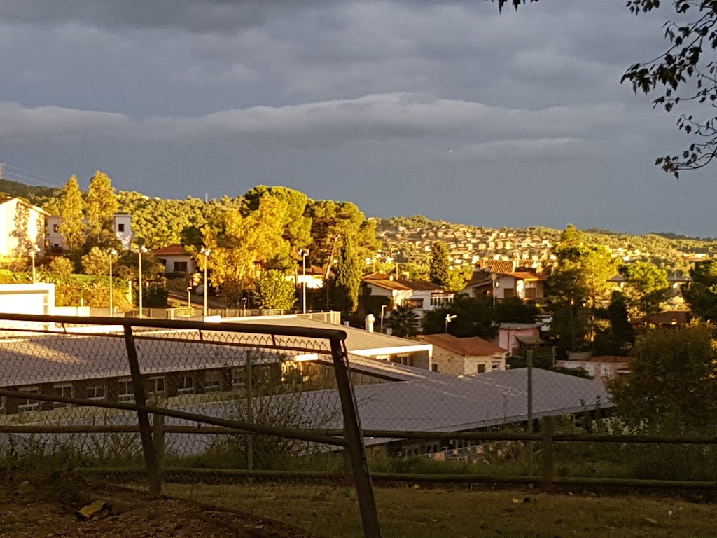 Parc d'esbarjo per a Gossos Poble Sec