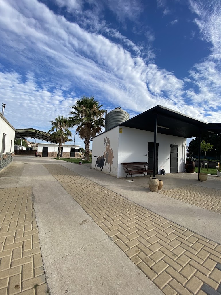 Club hipico El Carmen Calahorra