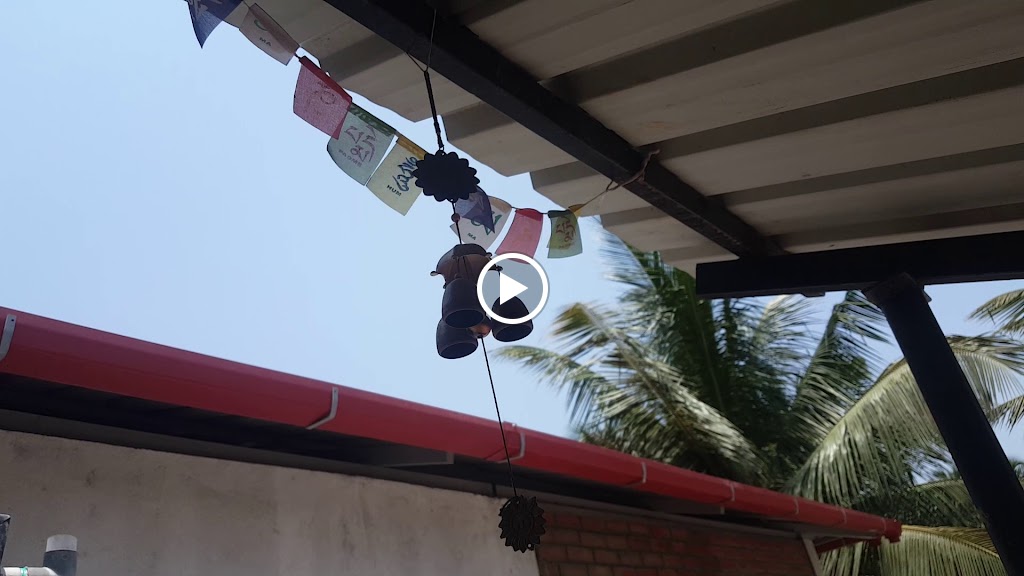 Videos