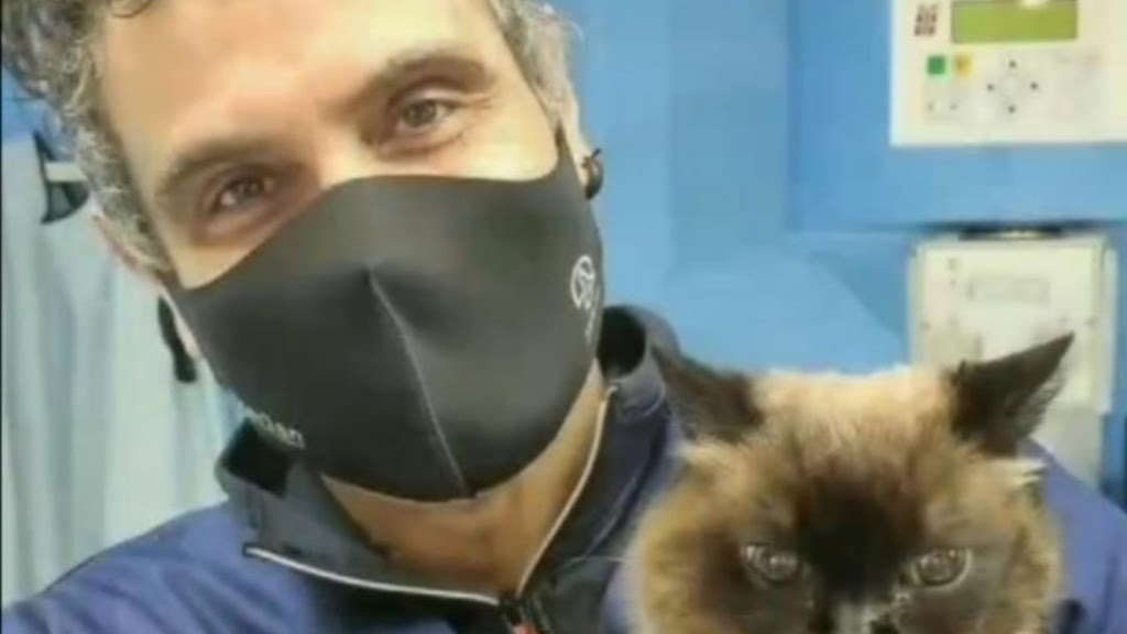 Clinica Veterinaria Yarza