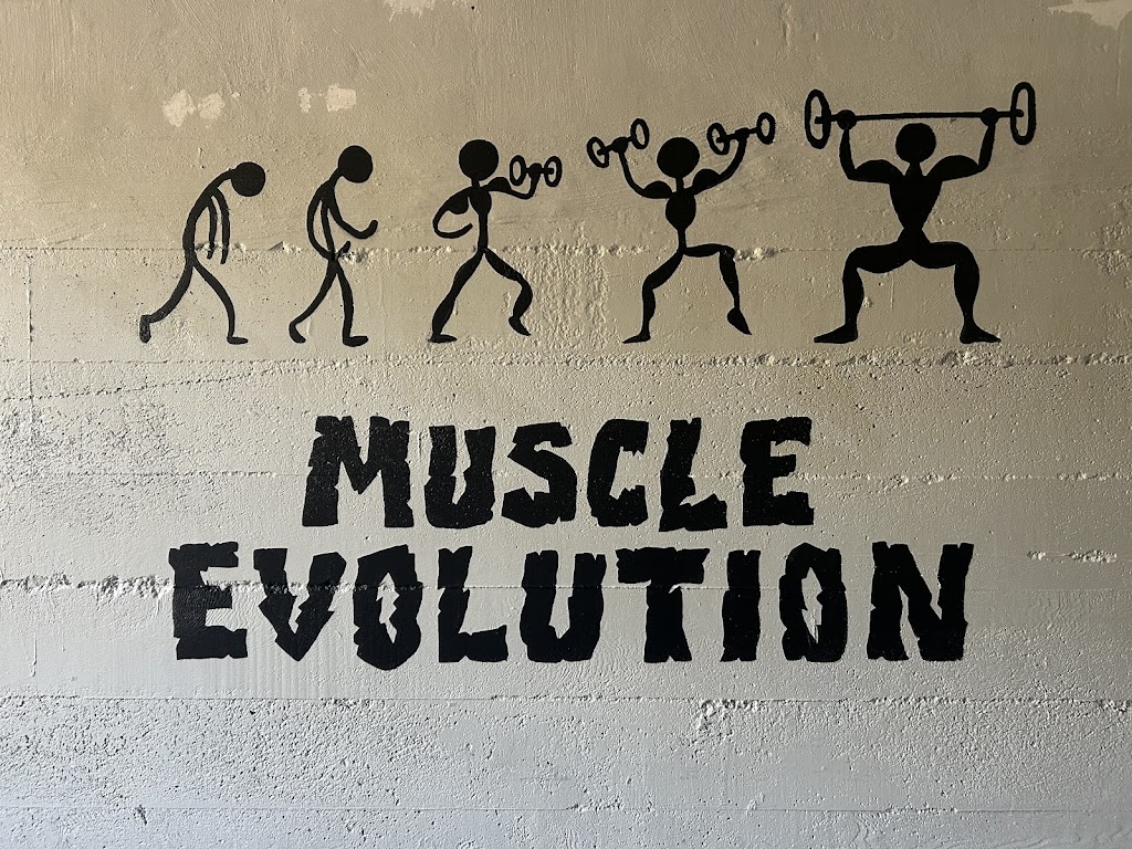  Muscle Evolution