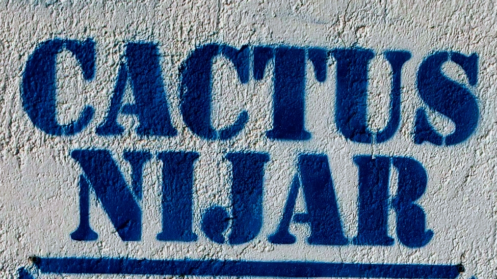 Cactus Nijar