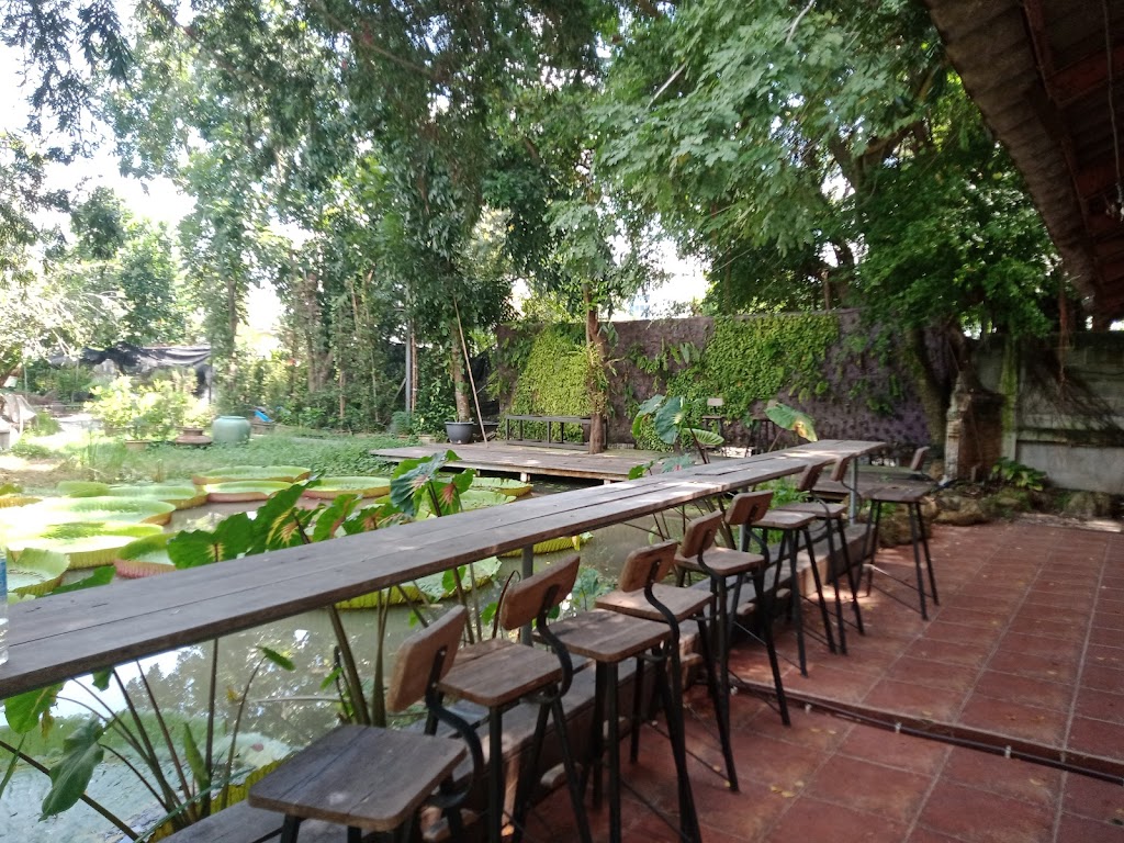 รูปภาพของ Botanist activity space