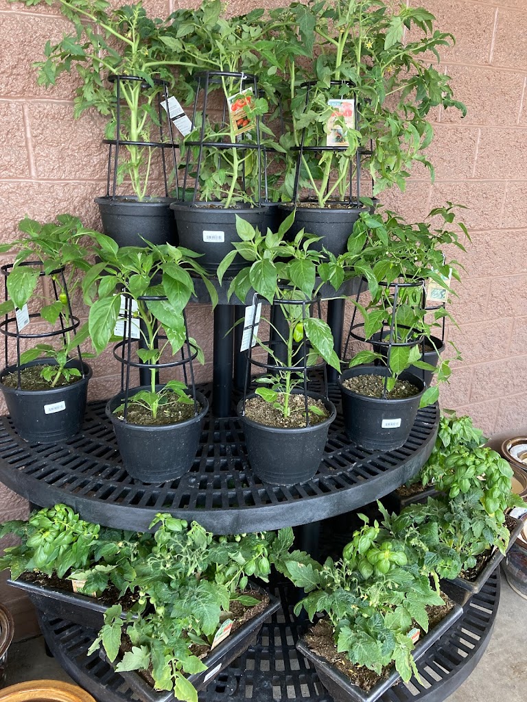 Kroger Floral