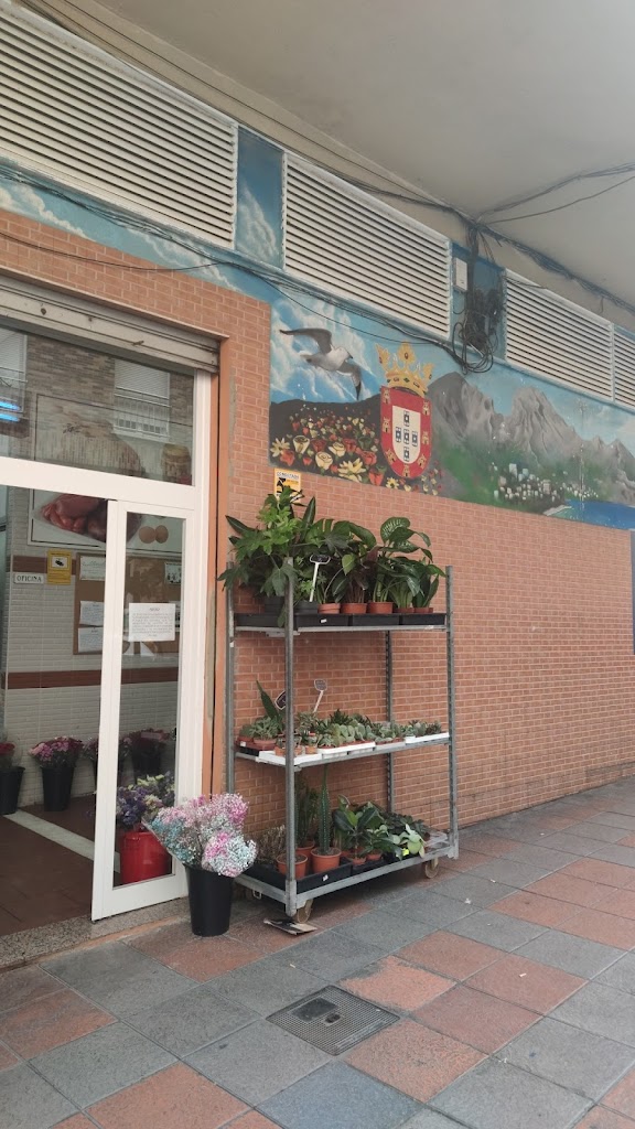 Clinica Veterinaria Real 90