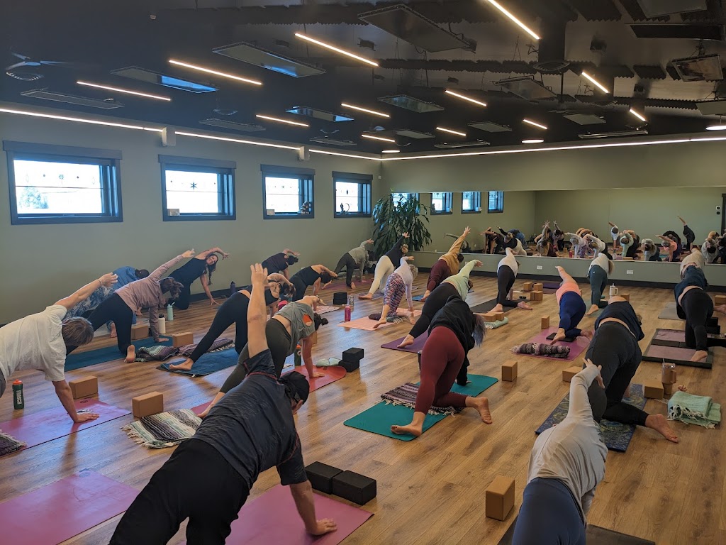  Happi Yogi Windsor CO