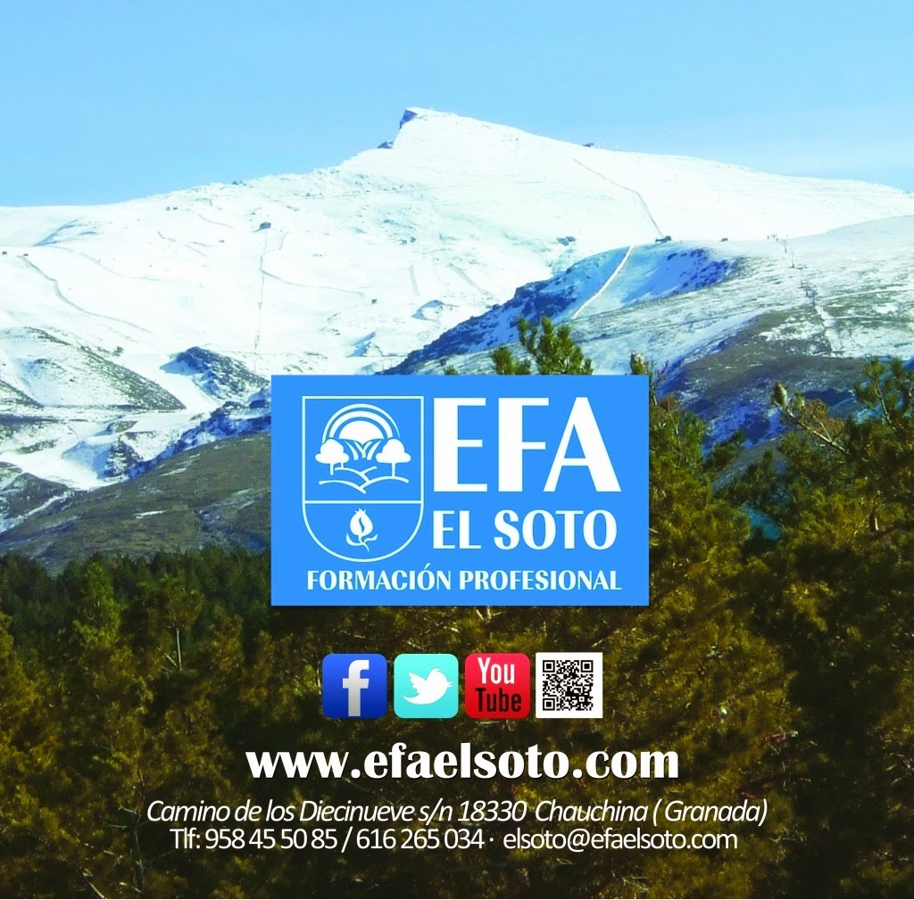 EFA EL SOTO Formacion Profesional