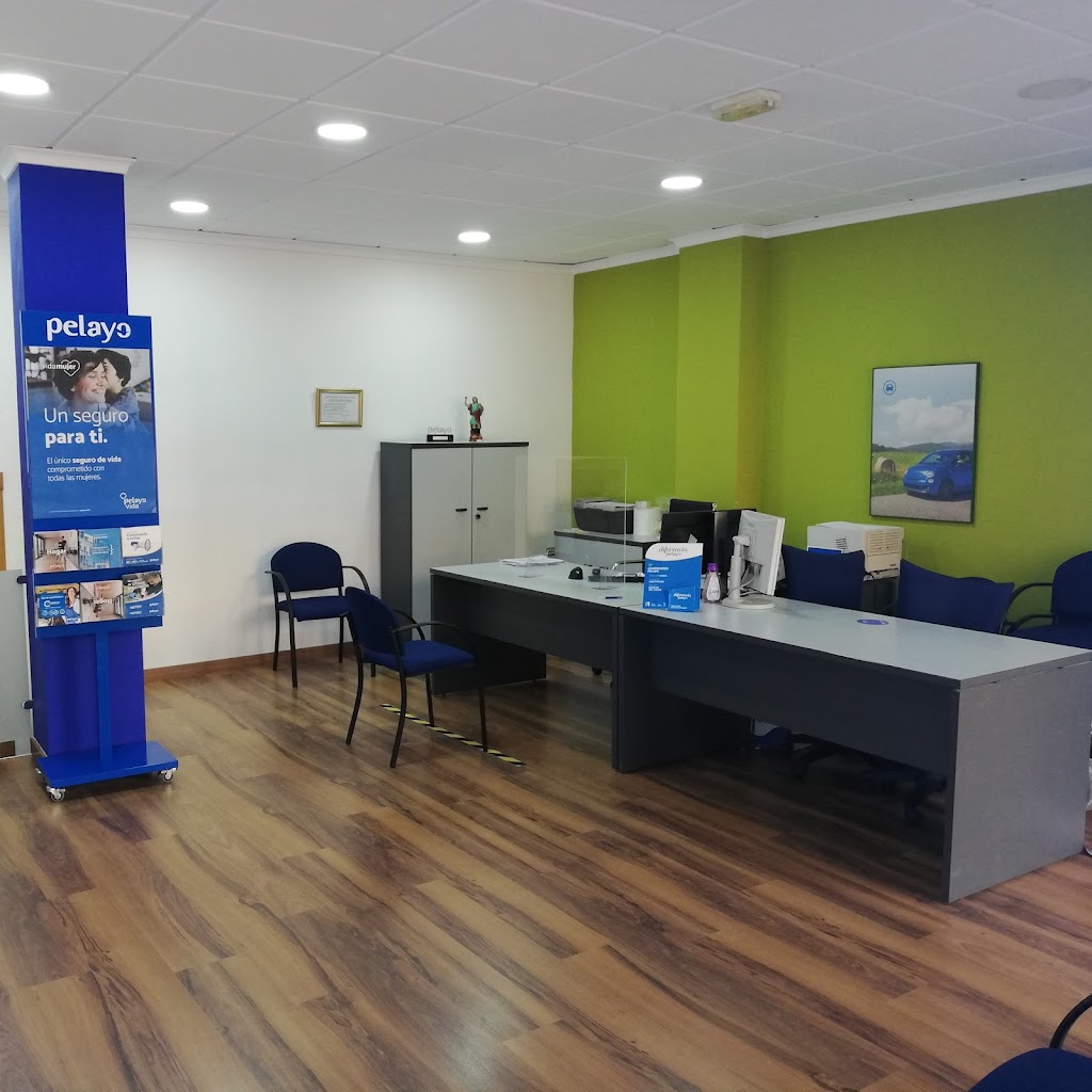 Oficina Seguros Pelayo