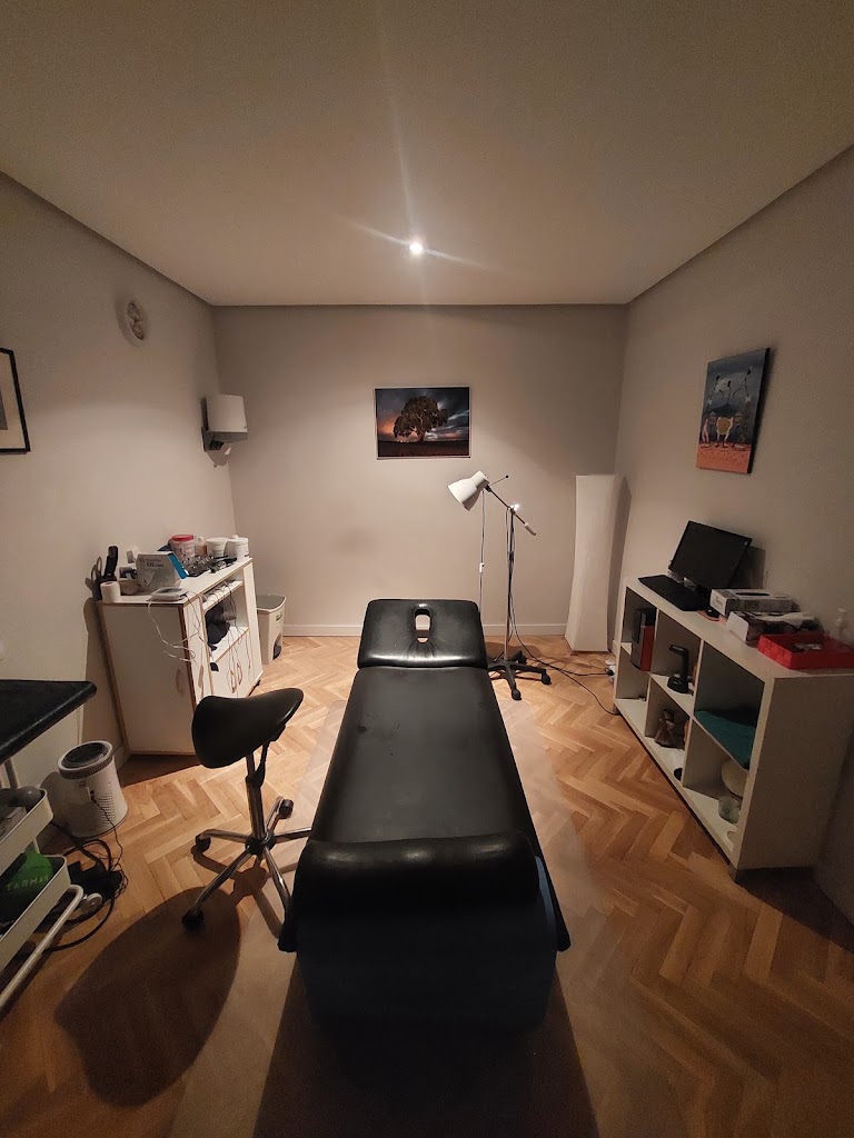 CENTRO DE FISIOTERAPIA BELLO — Del propietario
