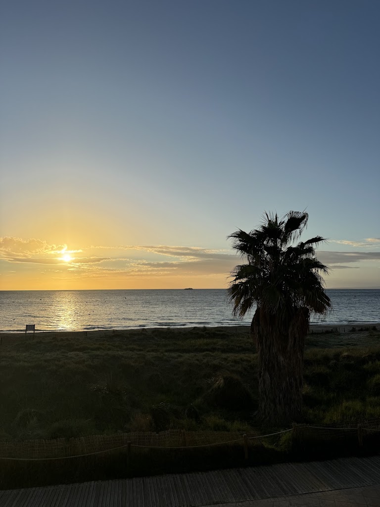 Ibiza Aesthetics — Del propietario