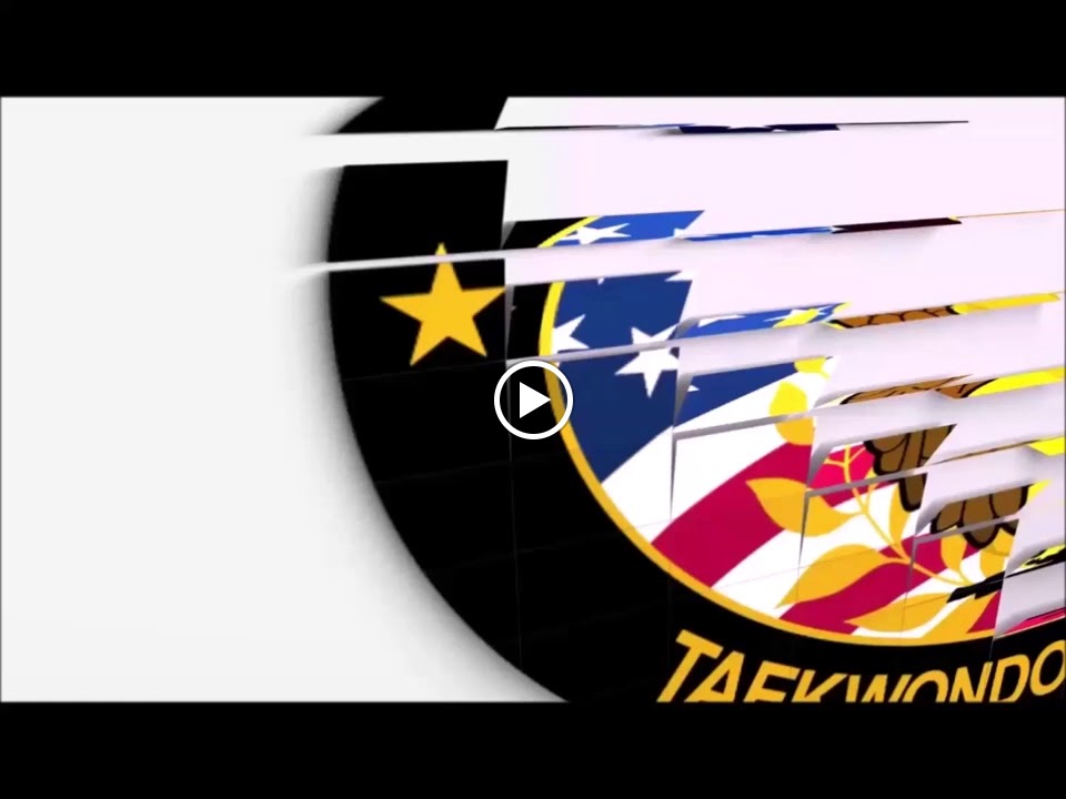  Virginia TaeKwonDo & Jiu-Jitsu Academy