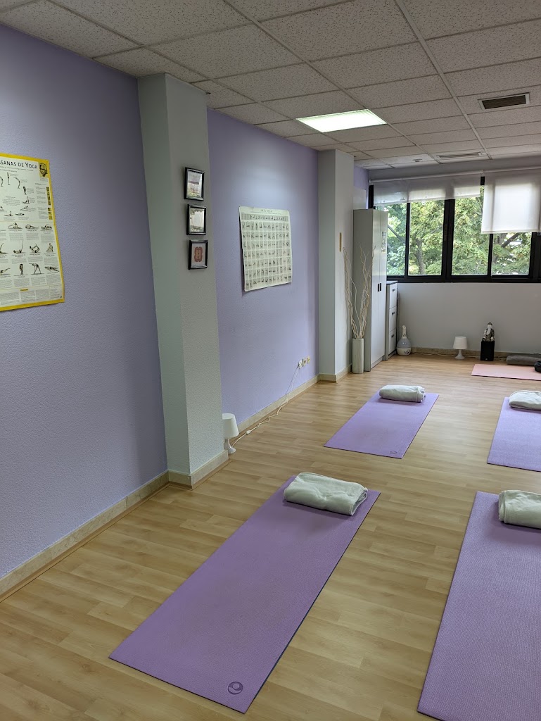 Bhasma. Escuela de yoga — Del propietario