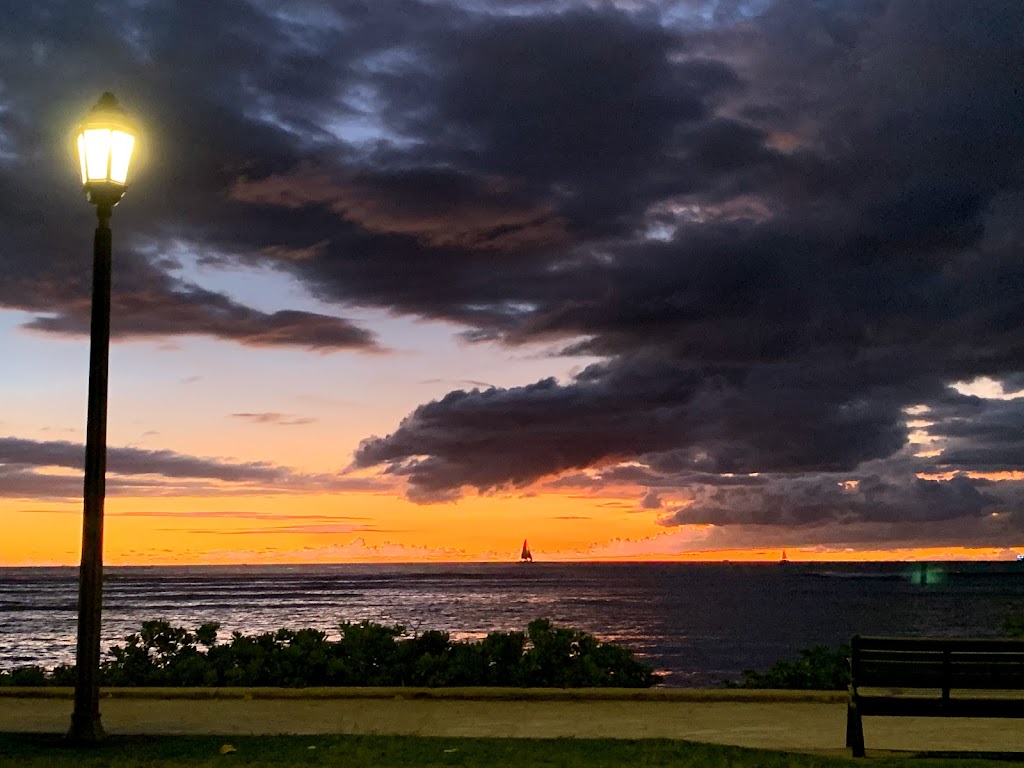  Yoga Under The Palms Waikiki