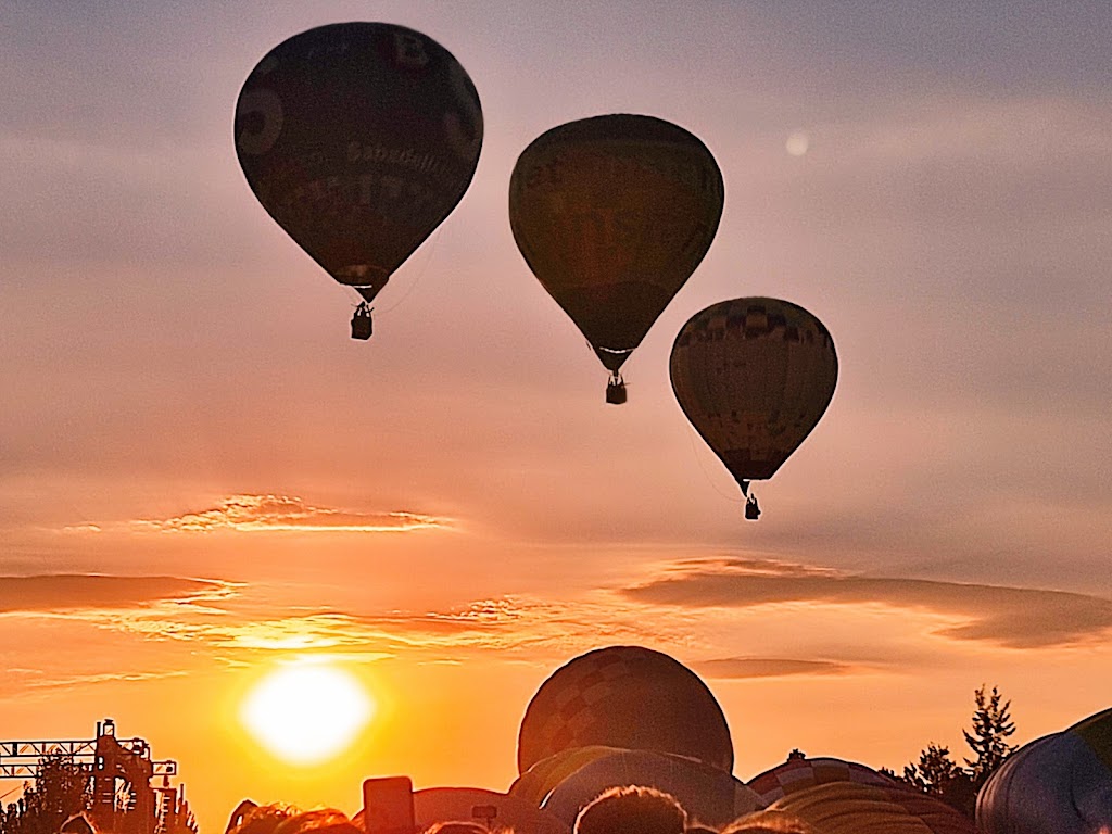 Parque Central de Igualada